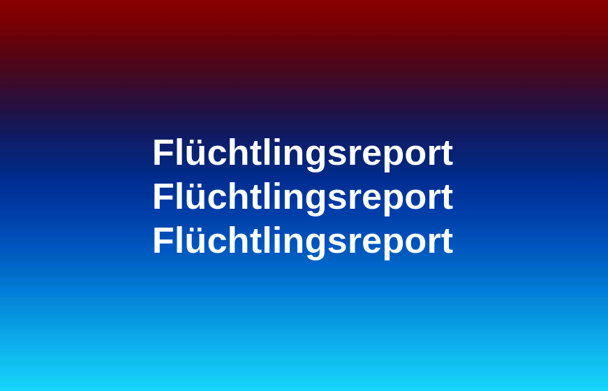 Flüchtlingsreport