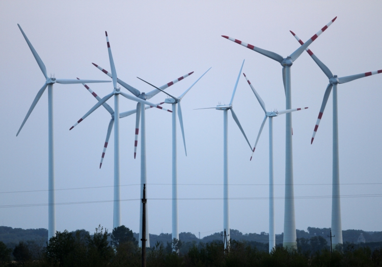 Grüne werfen Laschet Defizite beim Klimaschutz vor
