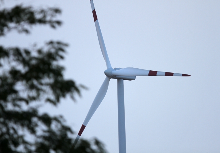 Luisa Neubauer kritisiert Merkels Klimapolitik