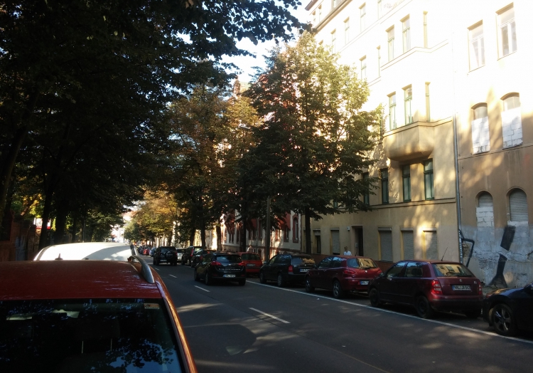 Straßenbäume könnten Depressionen verhindern