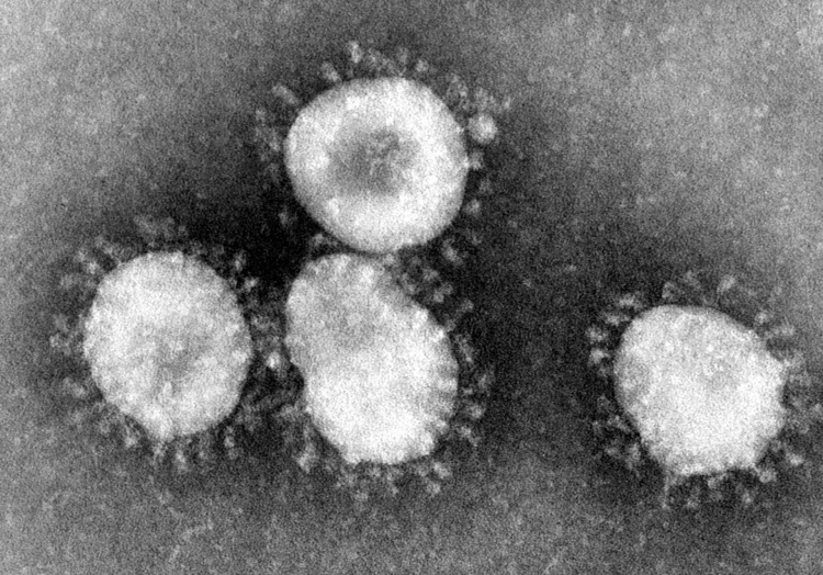 Nur 250 Corona-Genom-Untersuchungen im Dezember in Deutschland