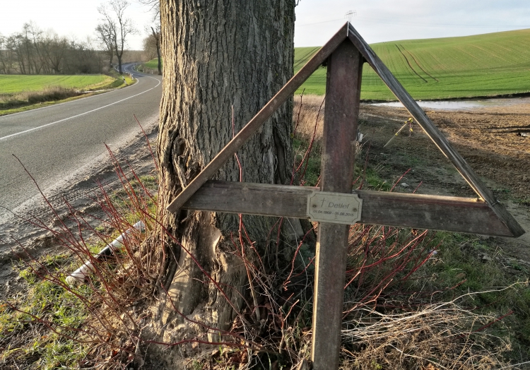 Corona führt zu weniger Unfällen und Verkehrstoten