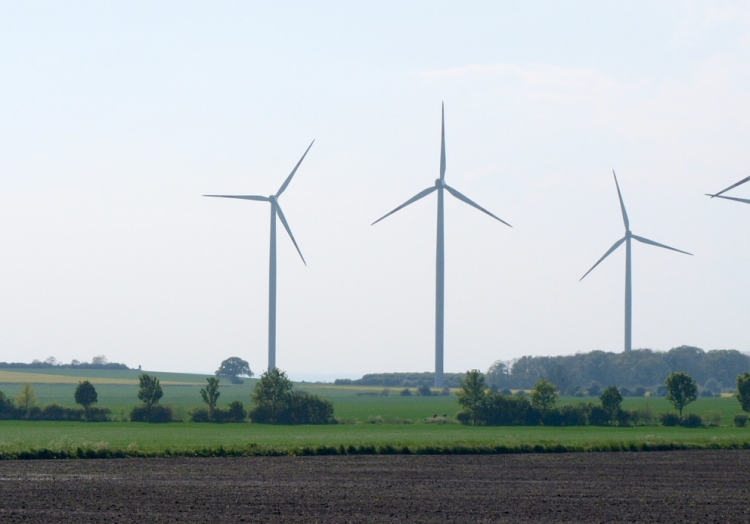 Umweltministerin für doppeltes Ausbautempo bei Wind- und Solarstrom
