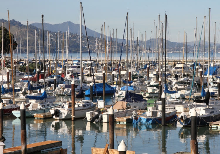 Scholz wirft Reichen unsolidarisches Verhalten vor