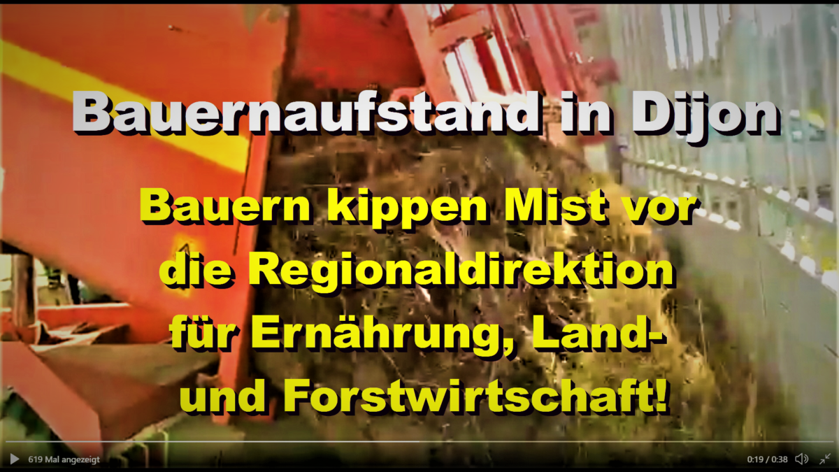 Bauern-Aufstand #Dijon: Bauern kippen Mist vor die Regionaldirektion für Ernährung, Land- und Forstwirtschaft!