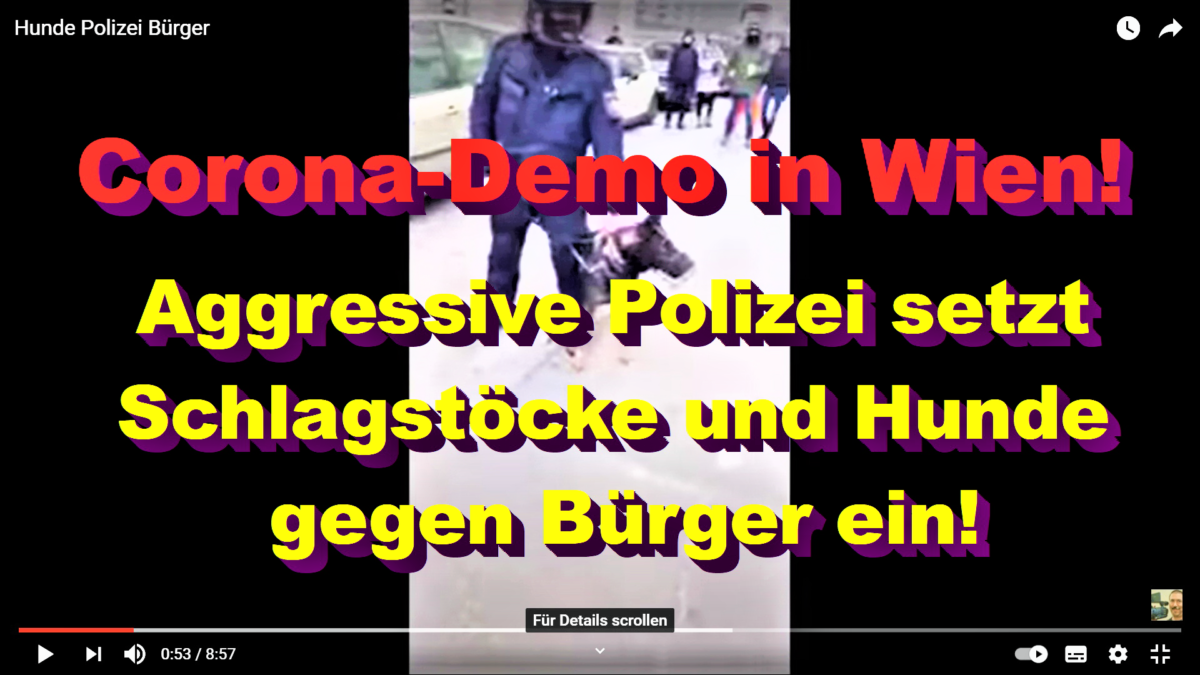 Corona-Demo Wien: Aggressive Polizei setzt Schlagstöcke und Hunde gegen Bürger ein!