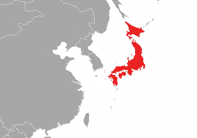 Starkes Erdbeben in Japan nahe Fukushima