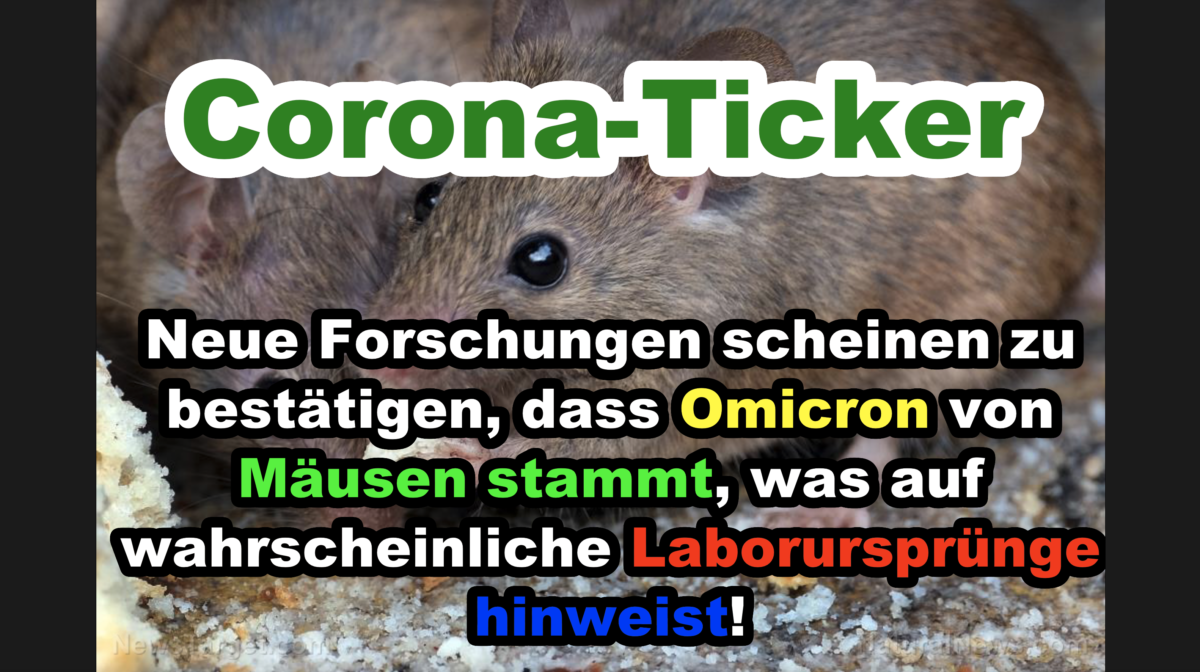 Neue Forschungen scheinen zu bestätigen, dass Omicron von Mäusen stammt, was auf wahrscheinliche Laborursprünge hinweist!