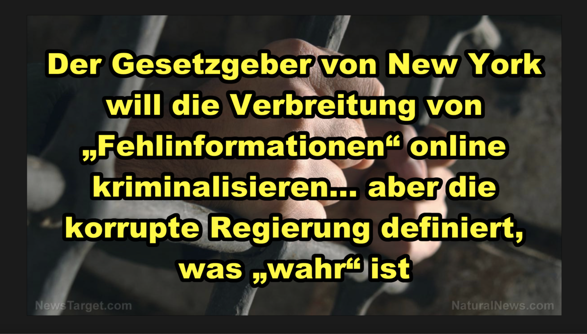 Der Gesetzgeber von New York will die Verbreitung von „Fehlinformationen“ online kriminalisieren… aber die korrupte Regierung definiert, was „wahr“ ist