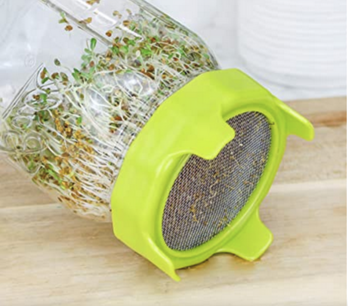 Bombe: Kann Impfstoff-NERVENSCHÄDEN mit diesem selbst angebauten Molekül namens Sulforaphan umgekehrt werden?