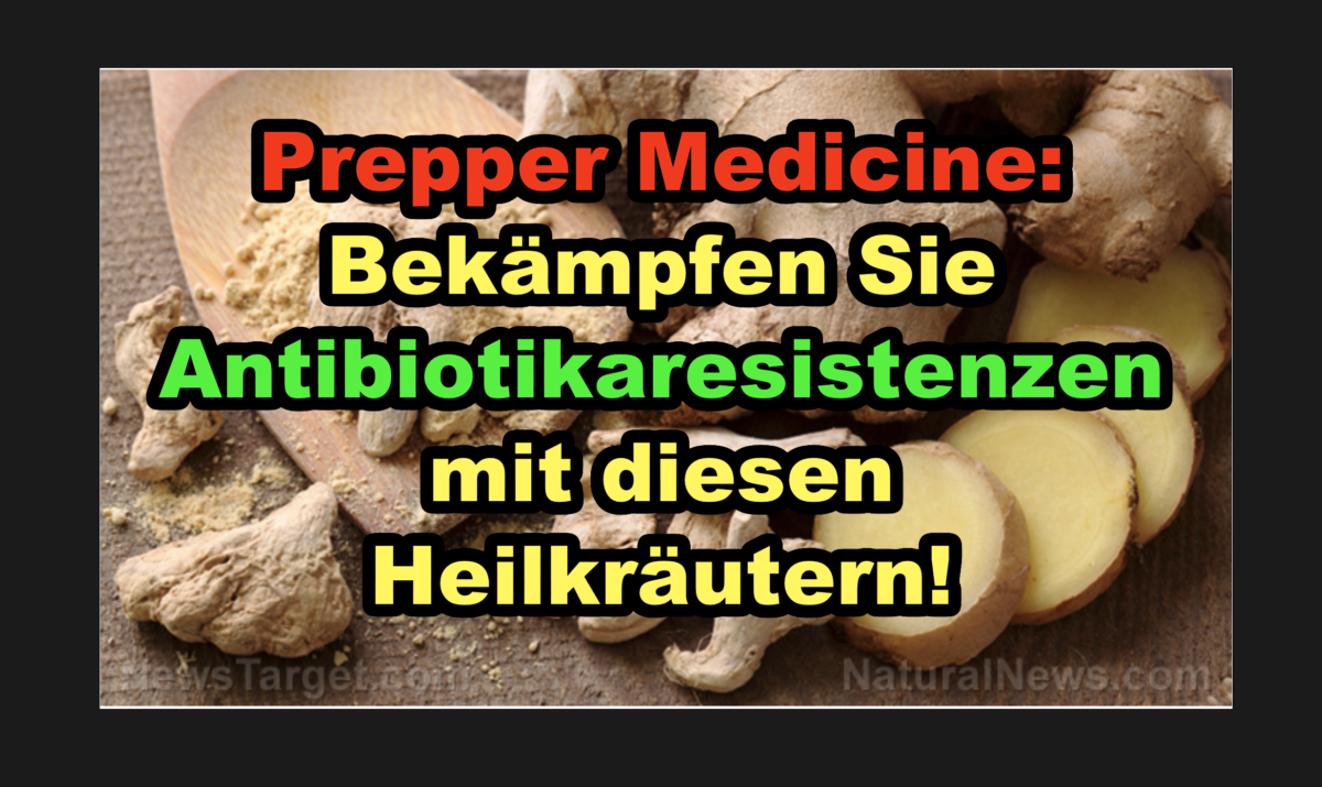 Prepper Medicine: Bekämpfen Sie Antibiotikaresistenzen mit diesen Heilkräutern!