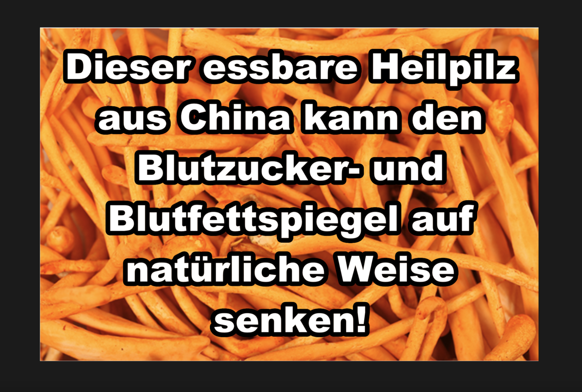 Dieser essbare Heilpilz aus China kann den Blutzucker- und Blutfettspiegel auf natürliche Weise senken!