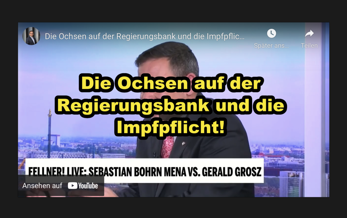 Die Ochsen auf der Regierungsbank und die Impfpflicht!