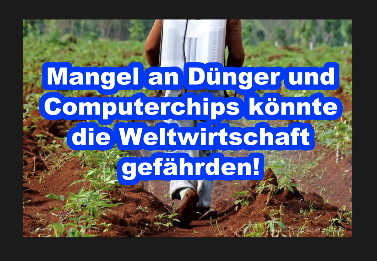 Mangel an Dünger und Computerchips könnte die Weltwirtschaft gefährden!