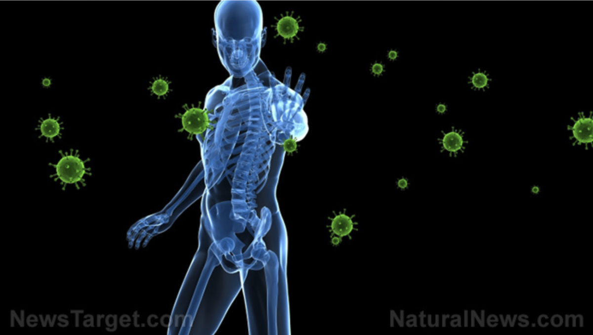 CDC gibt endlich zu, dass die natürliche Immunität gegenüber Impfstoffen ÜBERLEGEN ist