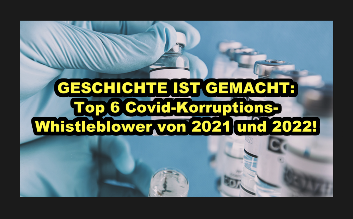GESCHICHTE IST GEMACHT: Top 6 Covid-Korruptions-Whistleblower von 2021 und 2022!