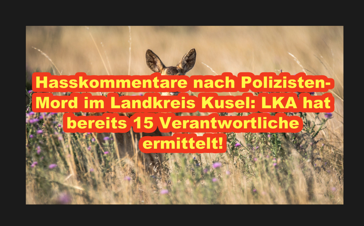 Hasskommentare nach Polizisten-Mord im Landkreis Kusel: LKA hat bereits 15 Verantwortliche ermittelt!