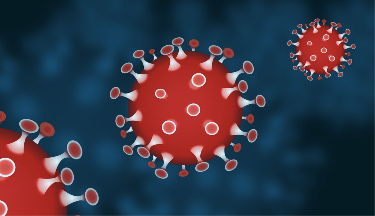 Was passiert mit diesen Milliarden von Nanopartikeln aus COVID-Aufnahmen?