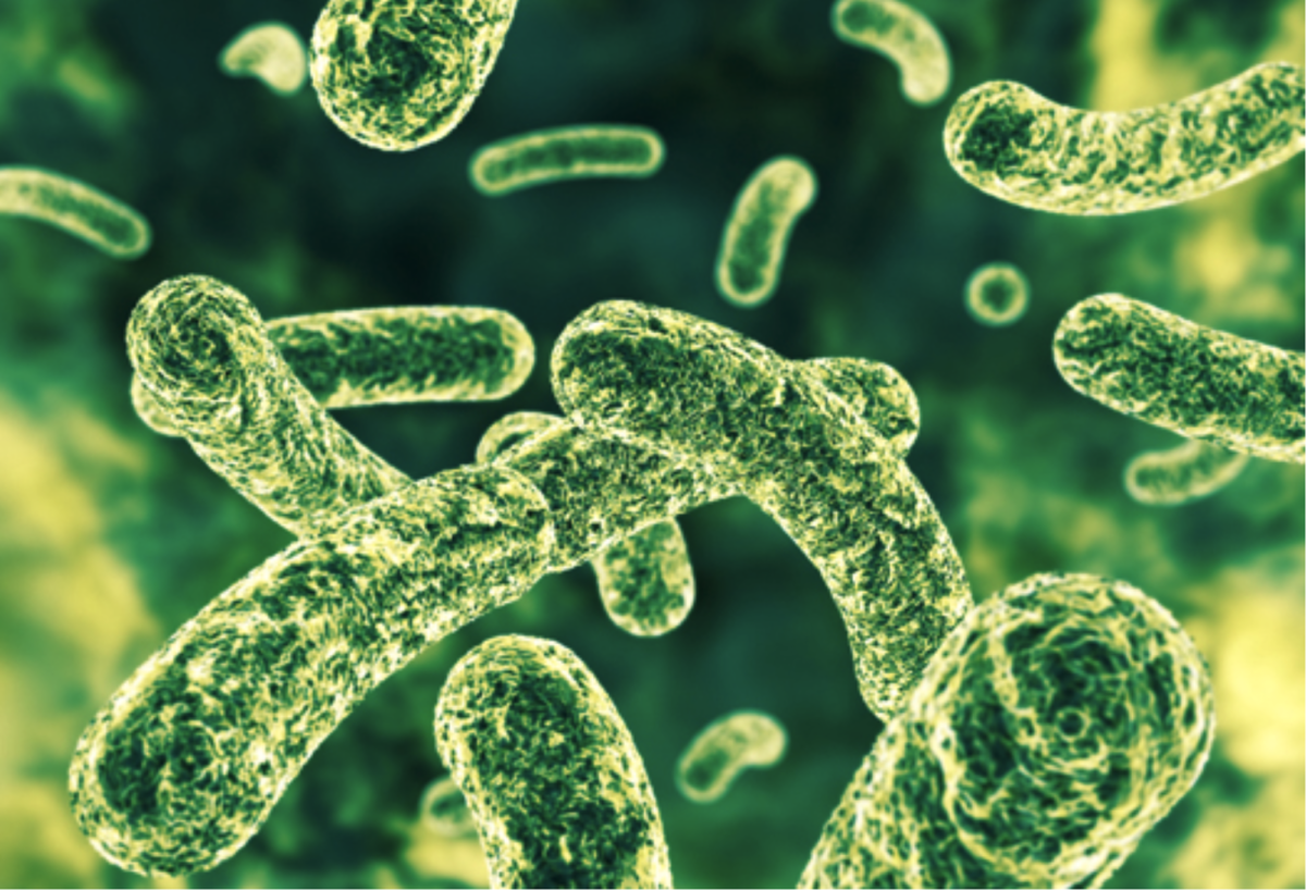 Können Probiotika helfen, Superkeime im Darm zu bekämpfen?