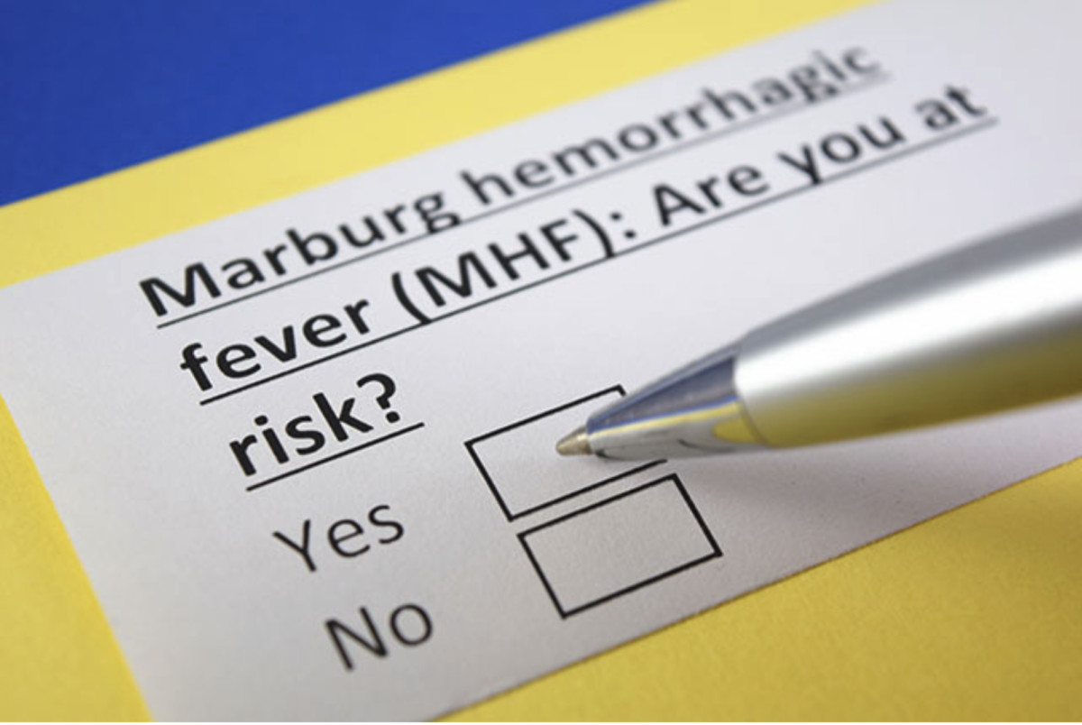 SEHR VERDÄCHTIG: Biopharmazeutisches Unternehmen enthüllt Antikörper, die Daratumumab hemmen, ein Medikament, das hämorrhagisches Fieber „leicht behandelt“!