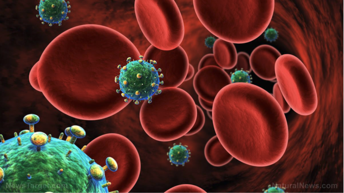 Behauptungen einer neuen, tödlicheren HIV-Variante könnten versucht werden, die Menschen dazu zu erschrecken, eine andere Plandemie zu akzeptieren!
