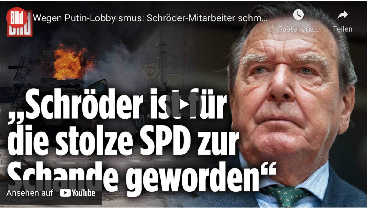 Wegen Putin-Lobbyismus: Schröder-Mitarbeiter schmeißen hin!
