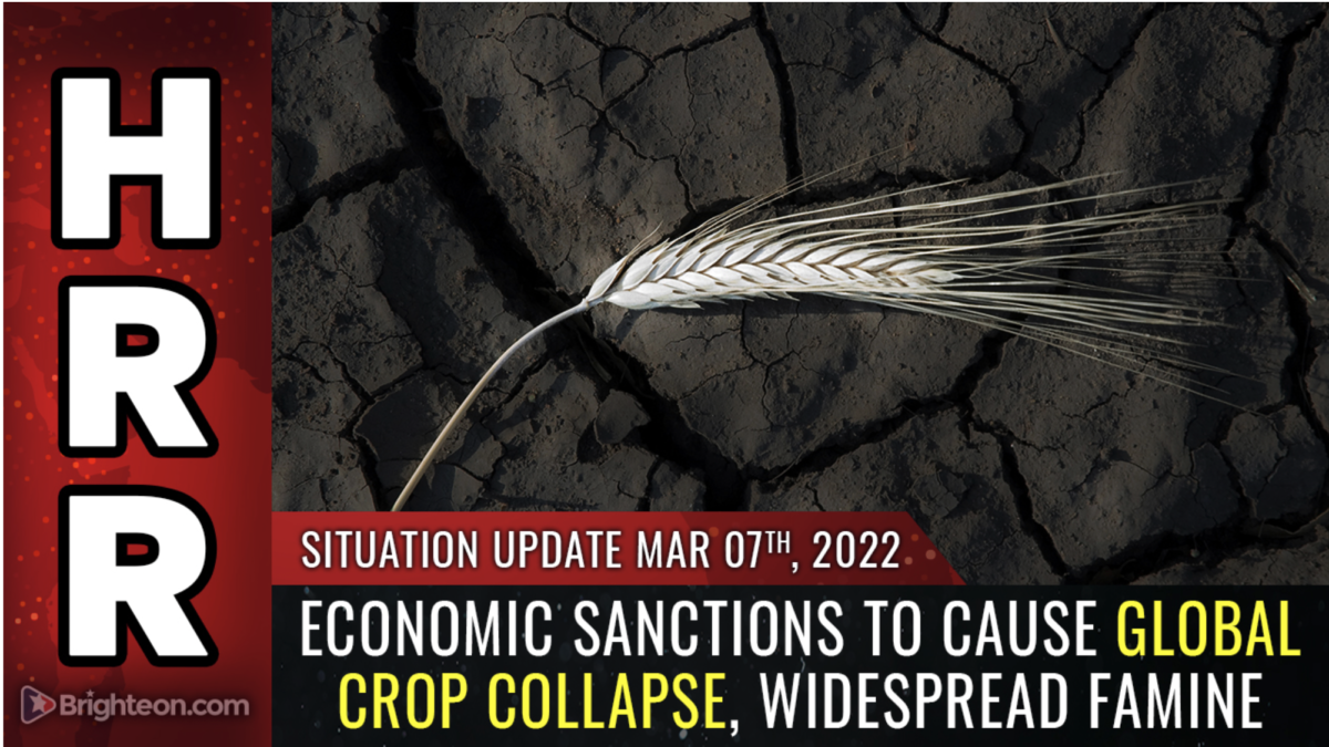 Der globale Erntekollaps ist jetzt eine Gewissheit… weit verbreitete Hungersnot, um den Planeten Erde von 2022 bis 2024 zu plagen!