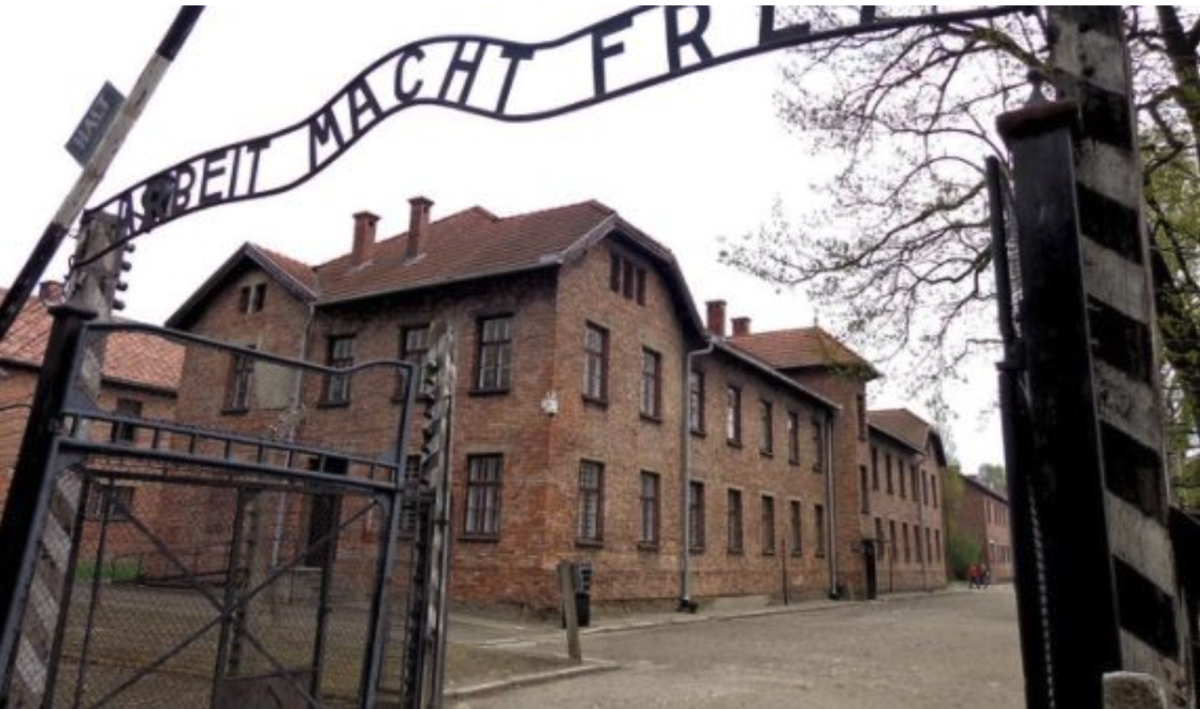 Das Weltwirtschaftsforum möchte, dass jeder, der sich Great Reset widersetzt, in „Umerziehungslager“ im chinesischen Stil gezwungen wird!