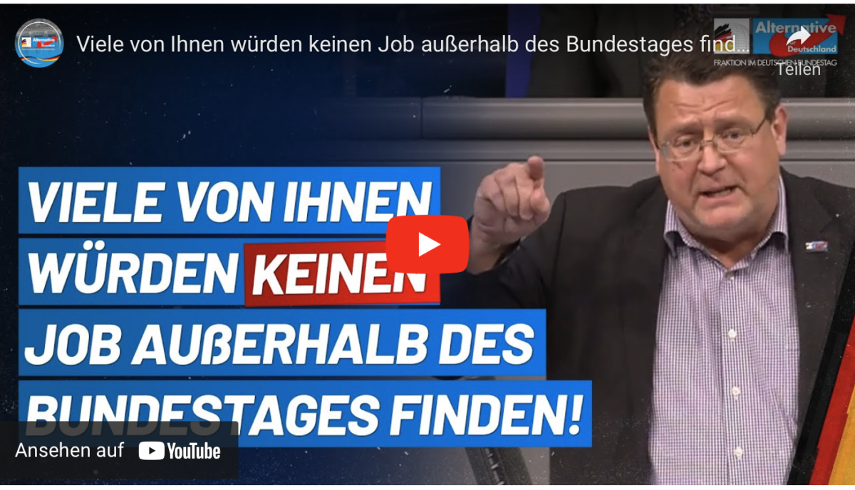 Viele von Ihnen würden keinen Job außerhalb des Bundestages finden!