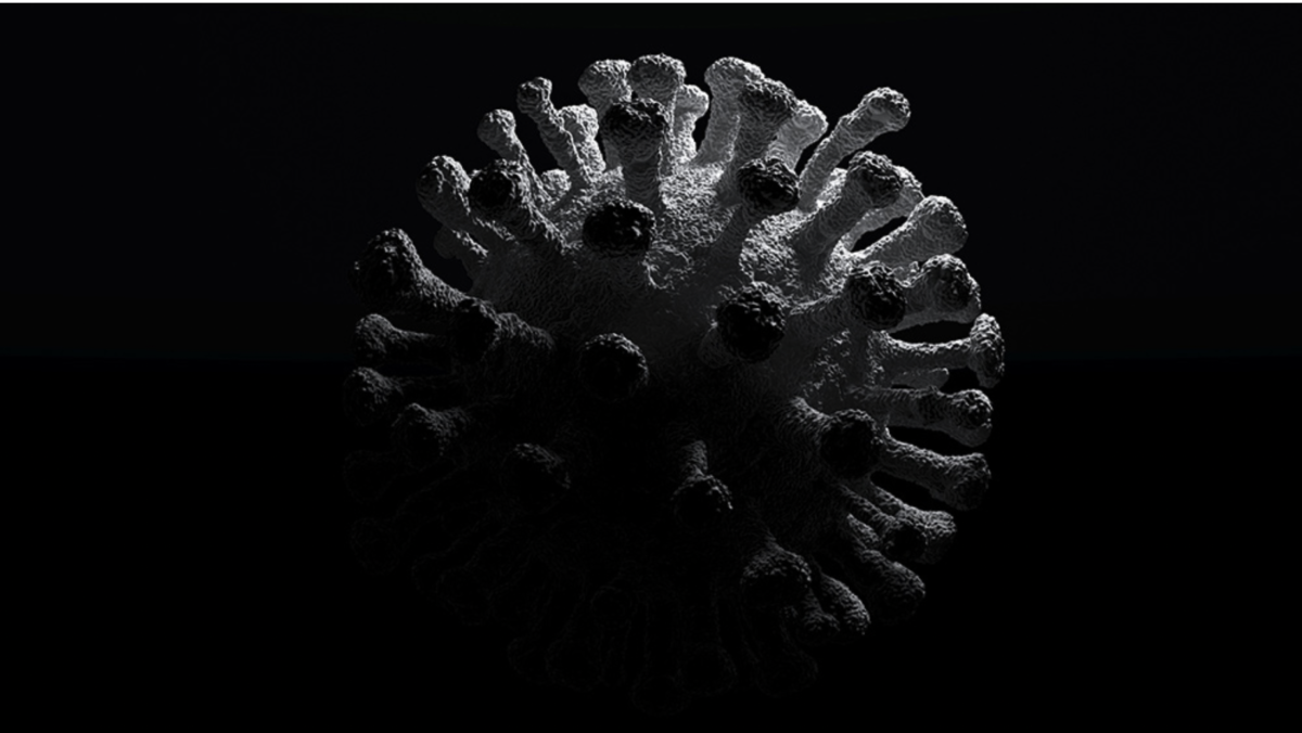 WEITERE BEWEISE: Das US-Biotech-Unternehmen Metabiota verbindet Biolabs in Afrika und der Ukraine mit der DTRA des Pentagons!