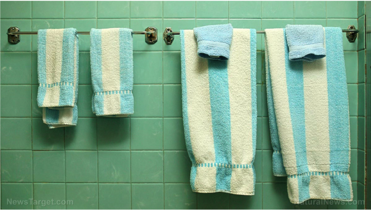 Prepper Must-Haves: 14 SHTF-Alternativen zu Toilettenpapier!