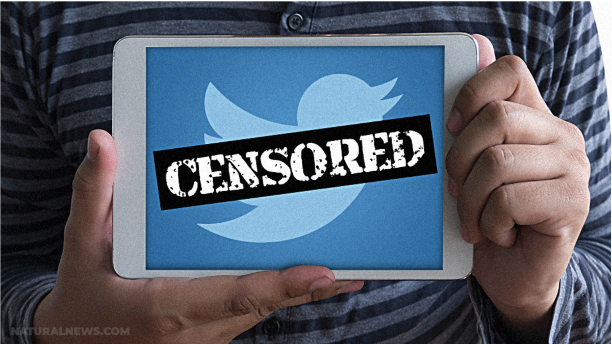 BREAKING: Babylon Bee wegen „hasserfüllter Inhalte“ wegen Rachel Levine-Witzes von Twitter suspendiert!