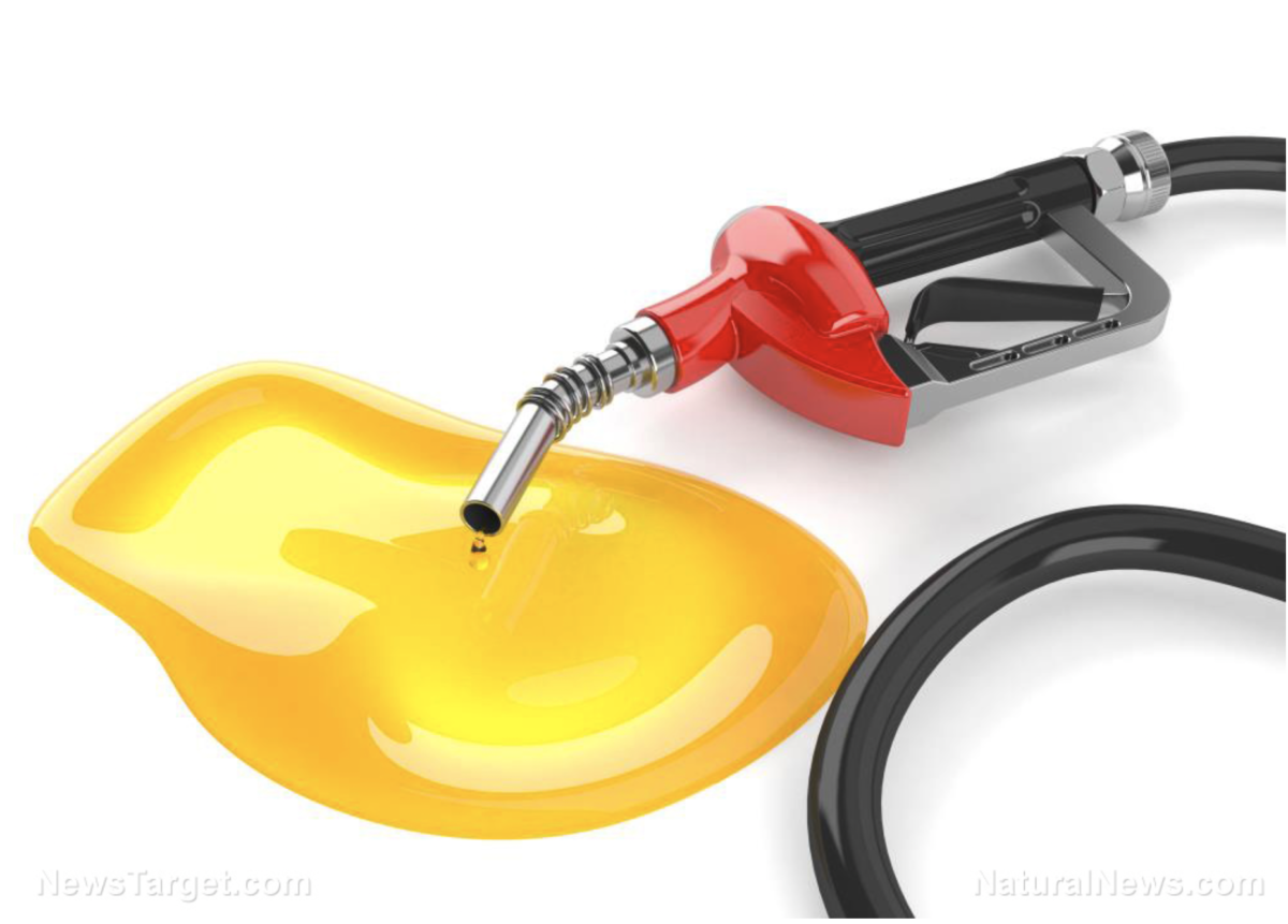 Maryland und Georgia setzen Gassteuern aus, andere Staaten werden folgen, um Bidens Inflation zu verbergen!
