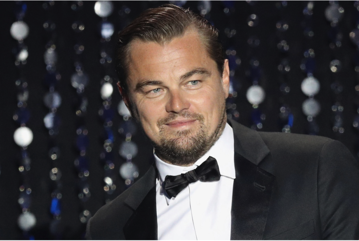 Warum wollen Hollywood-Prominente den amerikanischen Zugang zu häuslicher Energie unterbrechen?