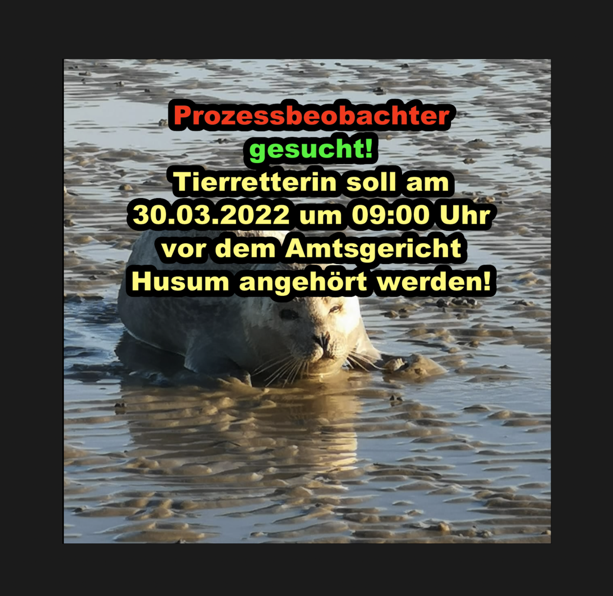Prozessbeobachter gesucht! Tierretterin soll am 30.03.2022 um 09:00 Uhr vor dem Amtsgericht Husum angehört werden!