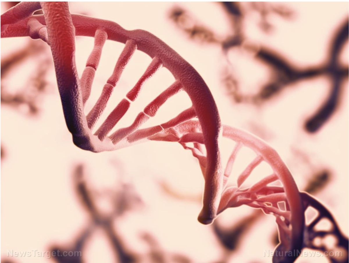 Vorbereitung auf die große Enthüllung: HHS veröffentlicht FDA-Leitfaden zur Genbearbeitung und könnte bald zugeben, dass mRNA-COVID-Spritzen tatsächlich Gentherapieprodukte sind!