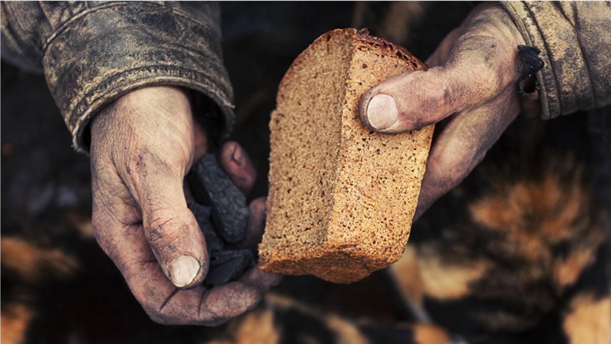 Geplante Hungersnot: US-Regierung bezahlt Landwirte seit JAHREN für die Vernichtung von Ernten und Viehbeständen!