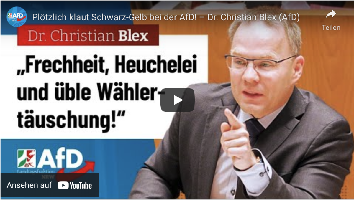 Plötzlich klaut Schwarz-Gelb bei der AfD!