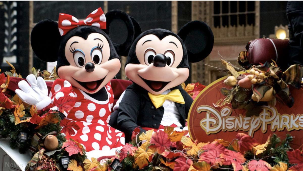 DeSantis beschuldigt Disney, „Kindergärtner zu sexualisieren“!