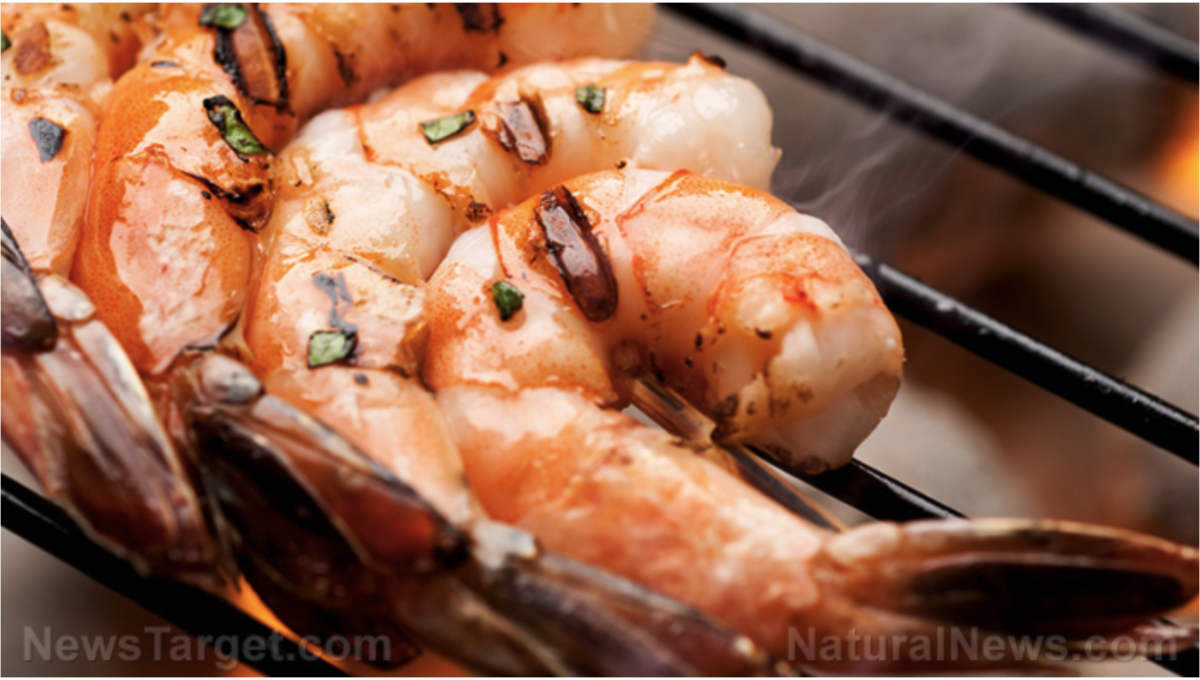Antibiotikaresistente SUPERBUGS in importierten SHRIMP gefunden, die in kanadischen Supermärkten verkauft werden!