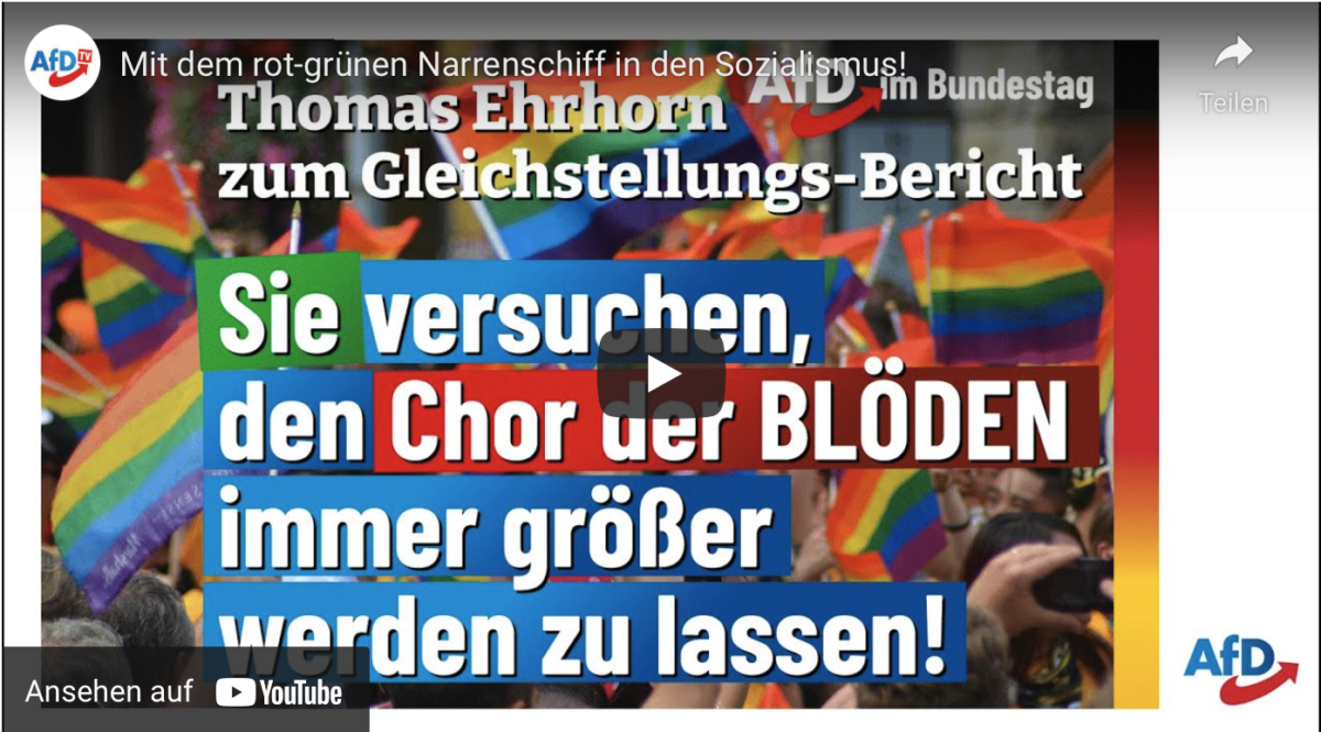 Mit dem rot-grünen Narrenschiff in den Sozialismus!