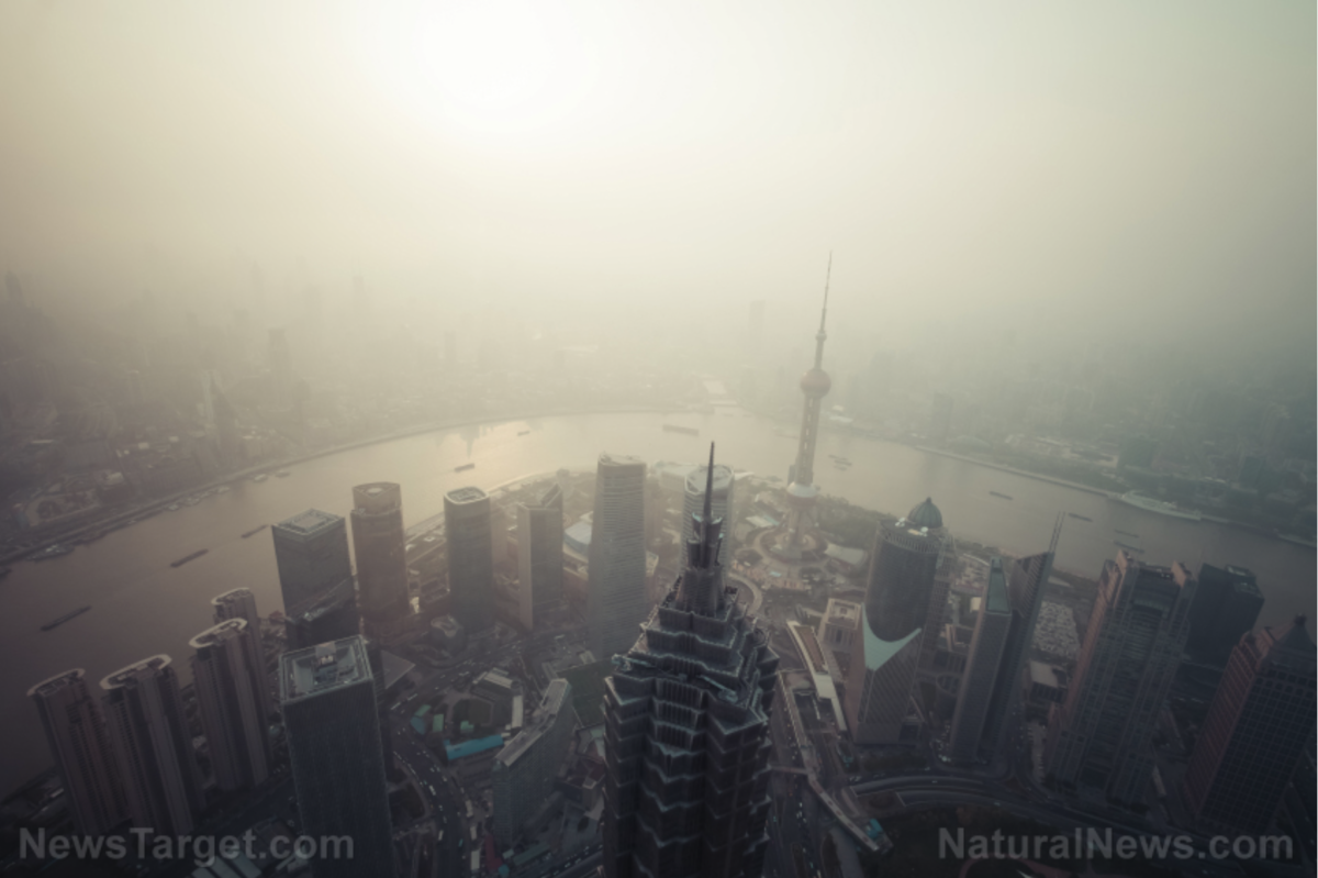 SOS-Brief des Einwohners von Shanghai besagt, dass die Stadt aufgrund des COVID-Lockdowns kurz vor dem Zusammenbruch steht!