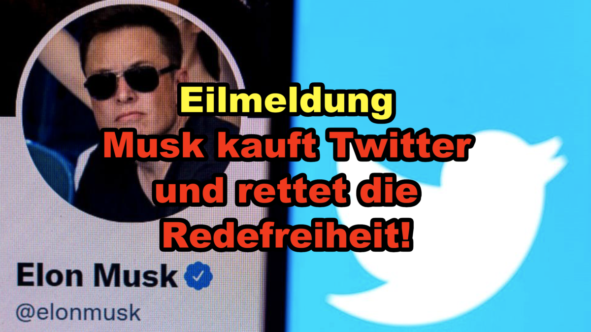 Breaking News: Musk kauft Twitter! Es lebe die Redefreiheit!