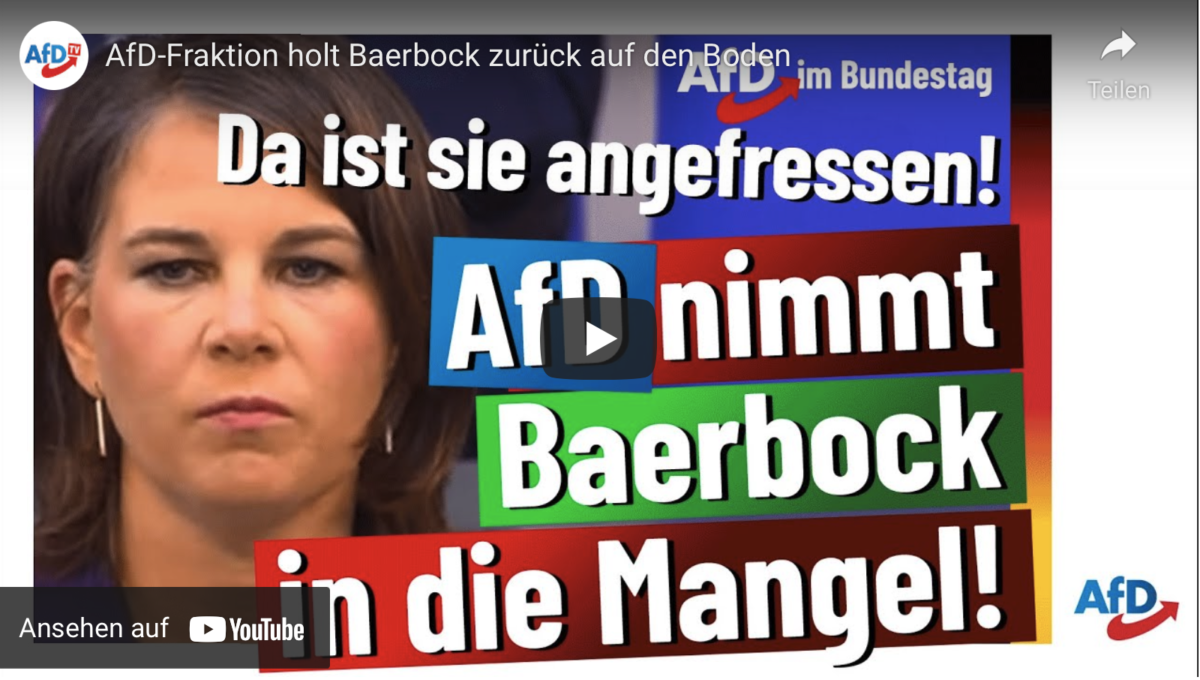 AfD-Fraktion holt Baerbock zurück auf den Boden!