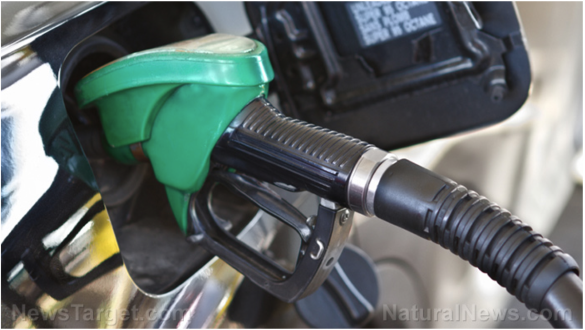 Der Dieselpreis erreicht ein Allzeithoch – was wird aus der Lebensmittelproduktion und dem Transport?