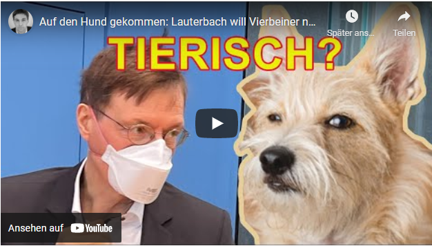 Auf den Hund gekommen: Lauterbach will Vierbeiner nach Corona schnüffeln lassen
