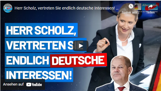 Herr Scholz, vertreten Sie endlich deutsche Interessen!