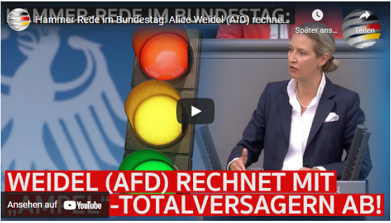Hammer-Rede im Bundestag: Alice Weidel (AfD) rechnet mit „Ampel“-Totalversagern ab!