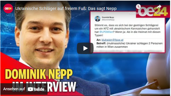 Ukrainische Schläger auf freiem Fuß: Das sagt Nepp