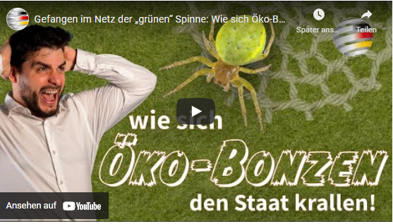 Gefangen im Netz der „grünen“ Spinne: Wie sich Öko-Bonzen den Staat krallen!